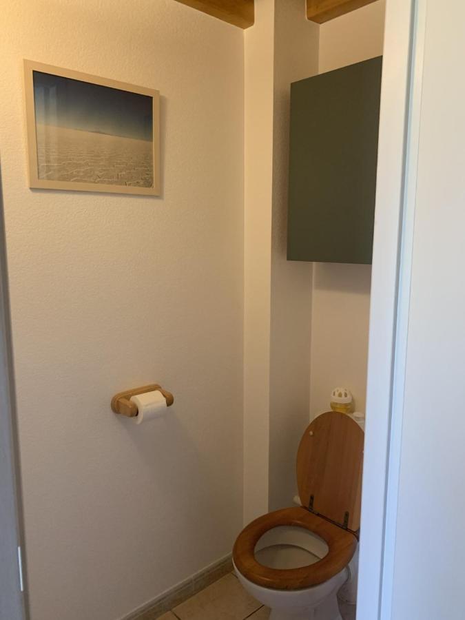 Appartement Dans Chalet Avec Jardin, Vue Montagne Aucun Esterno foto